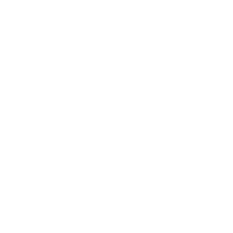 Fugool icon
